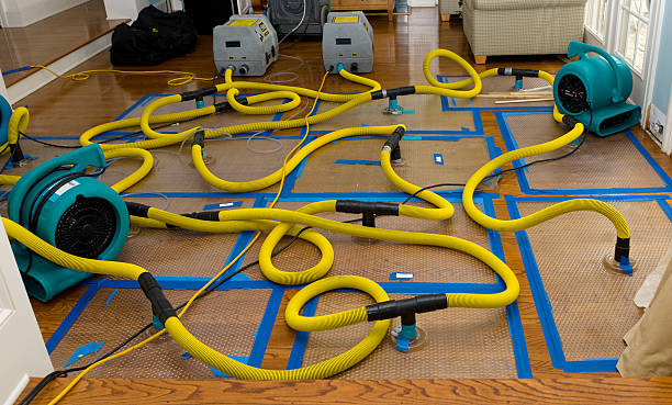 Professional Sewage Cleanup technician working in Garden City, MI